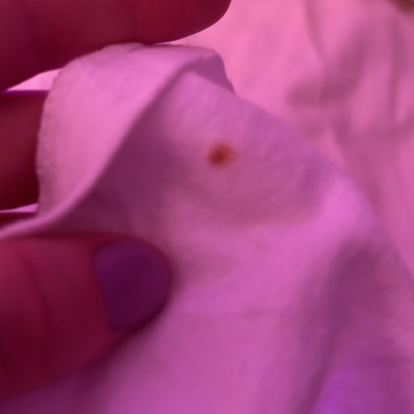 Medium sized champion T-shirt. Never worn - Picture 4 of 4